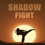 All about shadow fight game